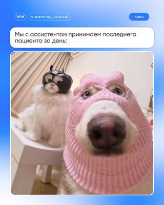 Усталость — не повод забывать, кто ты есть 😉.